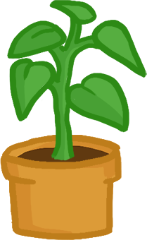 Plant